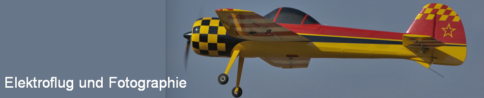 Wangener Linde 14.07.2010